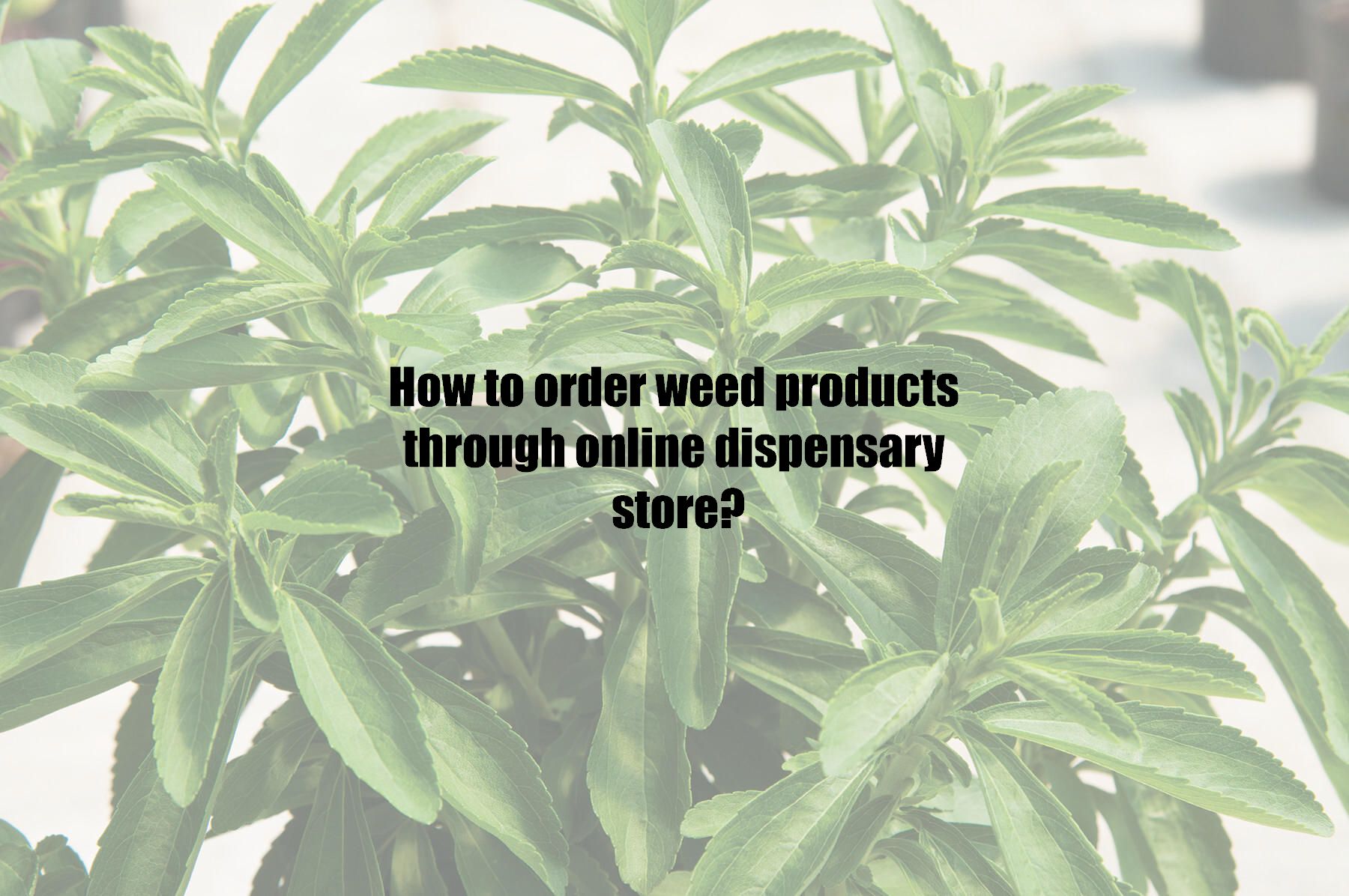 How to order weed products through online dispensary store?